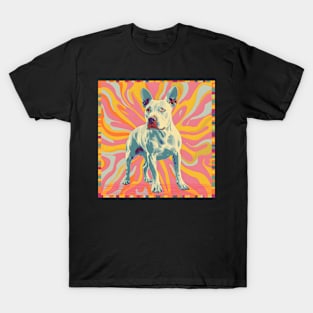 Bull Terrier in 70's T-Shirt